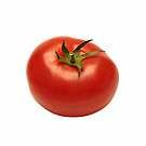 growing tomatoes